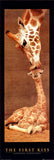 The First Kiss Giraffes 60cm x 165cm