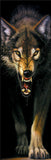 Wolf Angry 60cm x 165cm