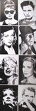 Icons Through the Times 60cm x 165cm