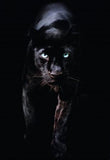 Panther 68cm x 98cm