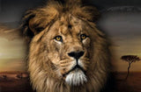 Lion Face 98cm x 68cm