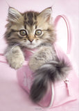 Kitten in Pink Handbag 68cm x 98cm