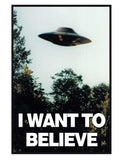 I Want to Believe 68cm x 98cm