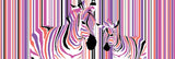 Zebra Stripes 165cm x 60cm