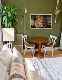 Lion Face 98cm x 68cm