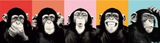 Monkeys Pop Art 165cm x 60cm