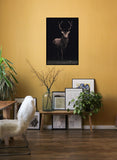 Deer Black