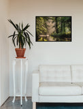 Forest Stream 98cm x 68cm