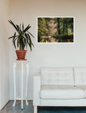 Forest Stream 98cm x 68cm