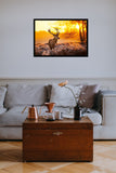 Golden Stag 98cm x 68cm