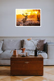 Golden Stag 98cm x 68cm