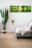 Green Forest Sunlight 165cm x 60cm