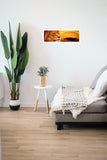 Lion Head 98cm x 37cm