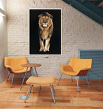 Lion Kings of Nature 107.5 x 147.5