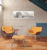 Lion Laying Down 165cm x 60cm