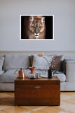 Puma 98cm x 68cm