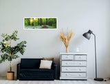 Spring Forest 165cm x 60cm