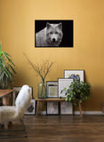 White Wolf